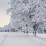 snow-7646952_1920