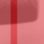 3-scaled_raita